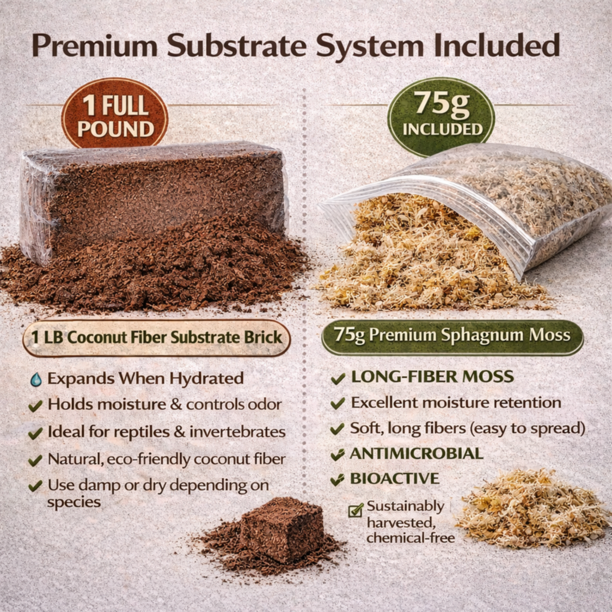Premium Tarantula Rehousing Kit - Complete Setup for Invert Keepers