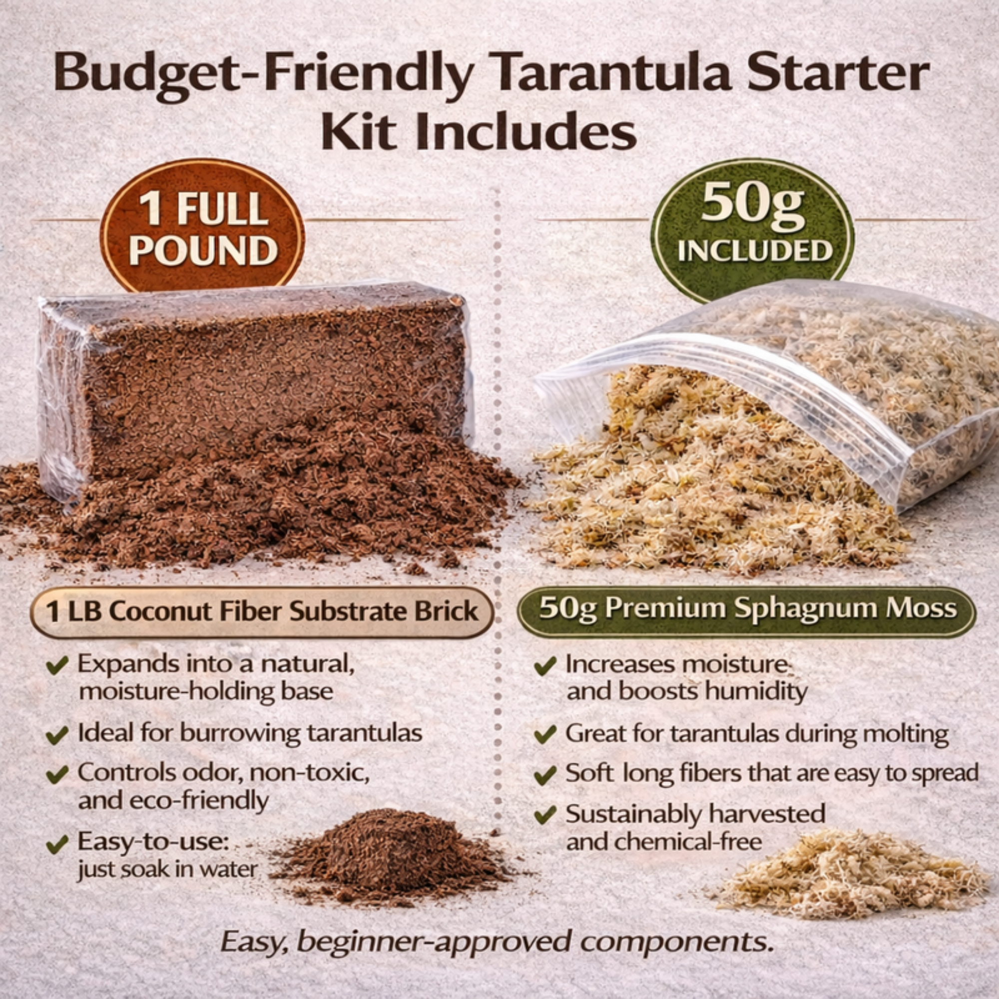 Simple Tarantula Rehousing Kit - Essential Setup