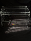 Large Terrestrial Acrylic Enclosure - 40x25x25cm - Dual Magnetic Sliding Doors & Removable Lid