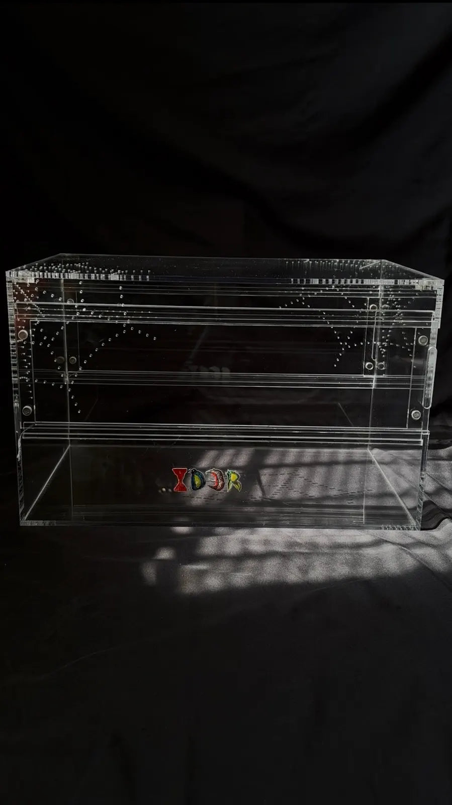 Large Terrestrial Acrylic Enclosure - 40x25x25cm - Dual Magnetic Sliding Doors & Removable Lid