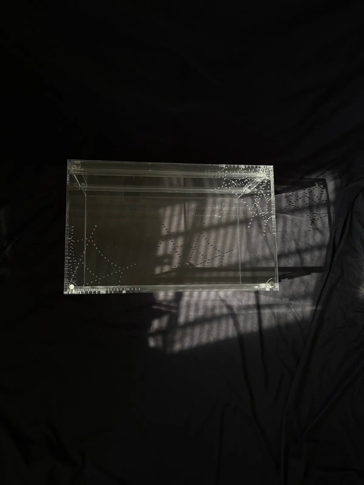 Large Terrestrial Acrylic Enclosure - 40x25x25cm - Dual Magnetic Sliding Doors & Removable Lid
