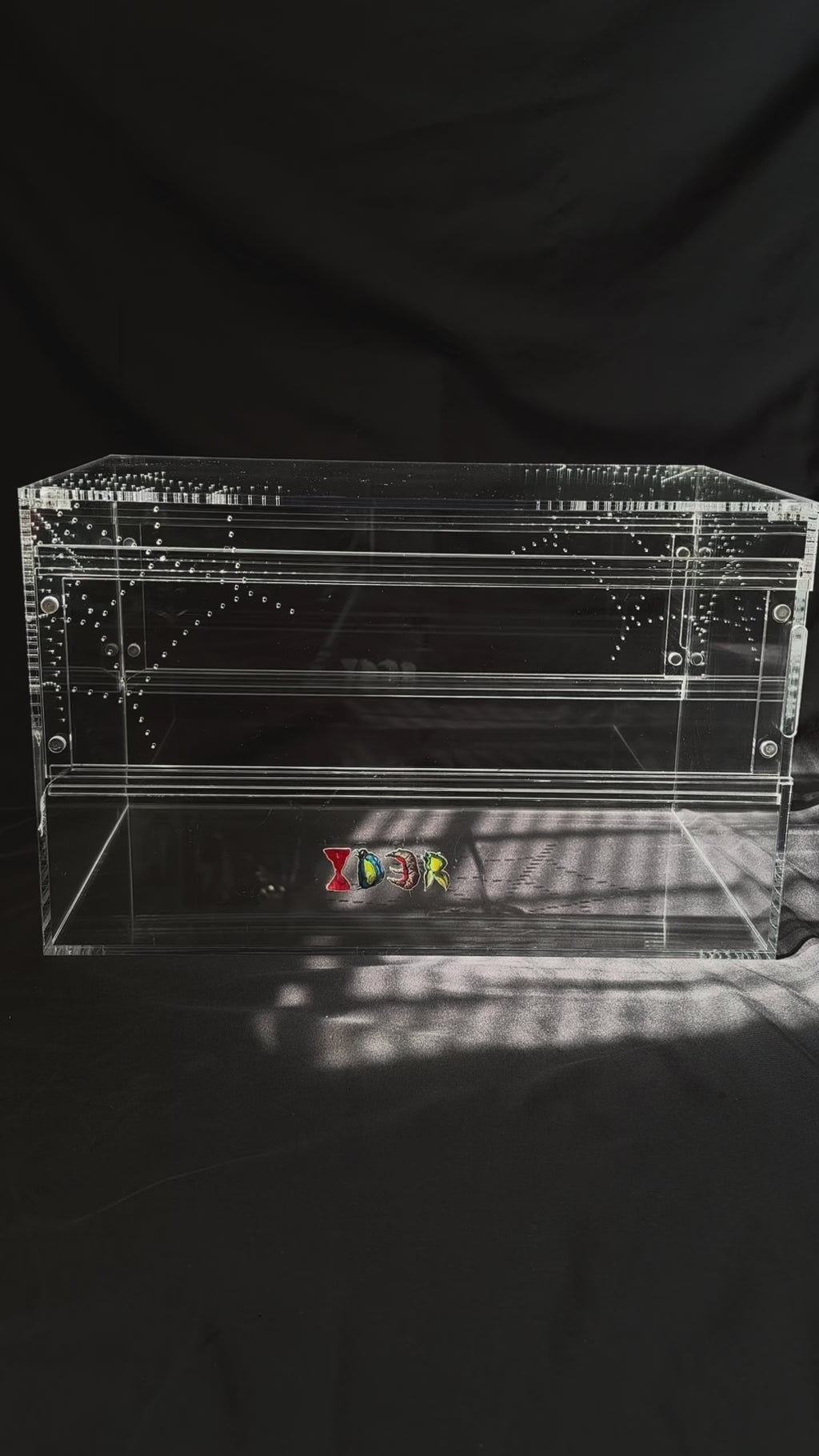 Supreme Terrestrial Tarantula Kit: 6-Gallon Acrylic Enclosure + Premium Habitat Kit Bundle