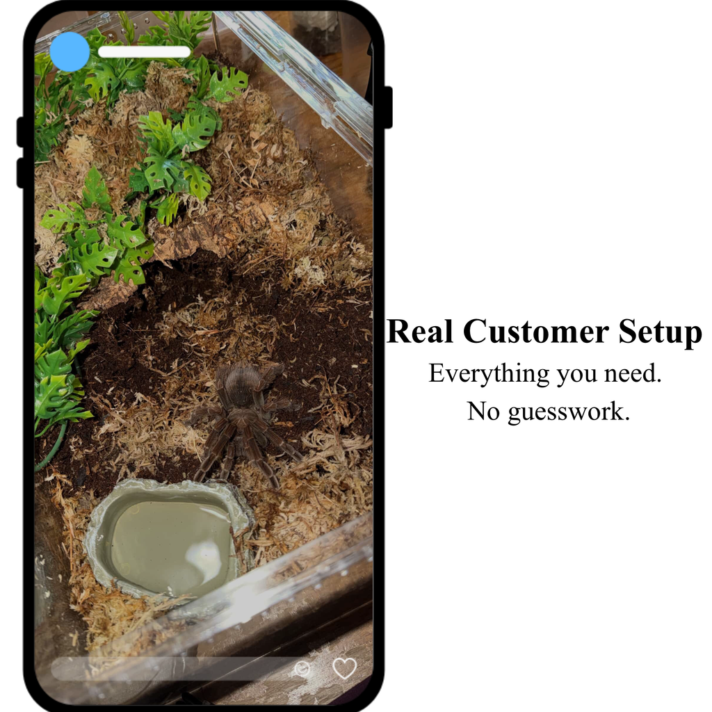 Premium Tarantula Rehousing Kit - Complete Setup for Invert Keepers