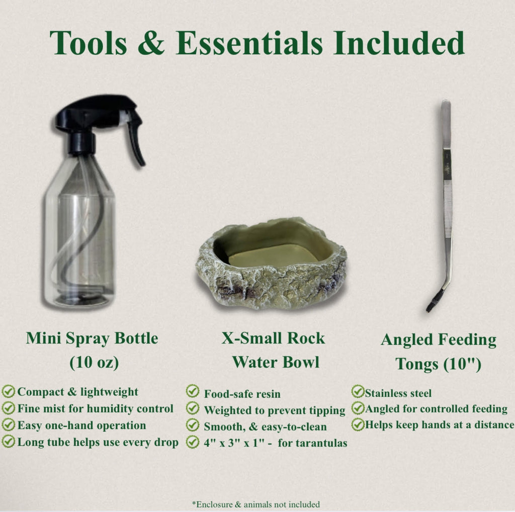 Premium Tarantula Rehousing Kit - Complete Setup for Invert Keepers