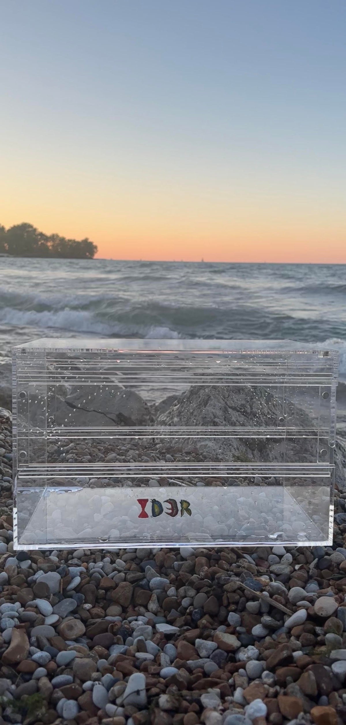 Supreme Terrestrial Tarantula Kit: 6-Gallon Acrylic Enclosure + Premium Habitat Kit Bundle