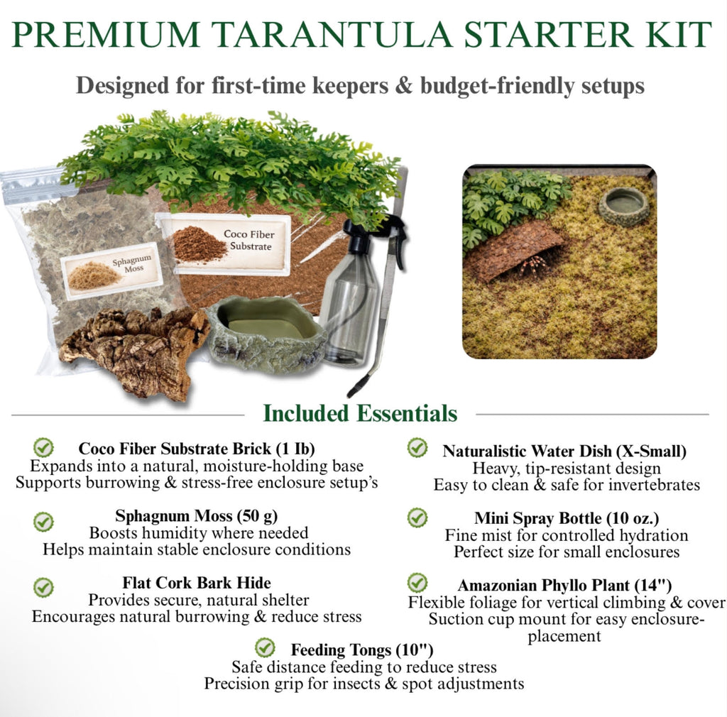 Premium Tarantula Rehousing Kit - Complete Setup for Invert Keepers