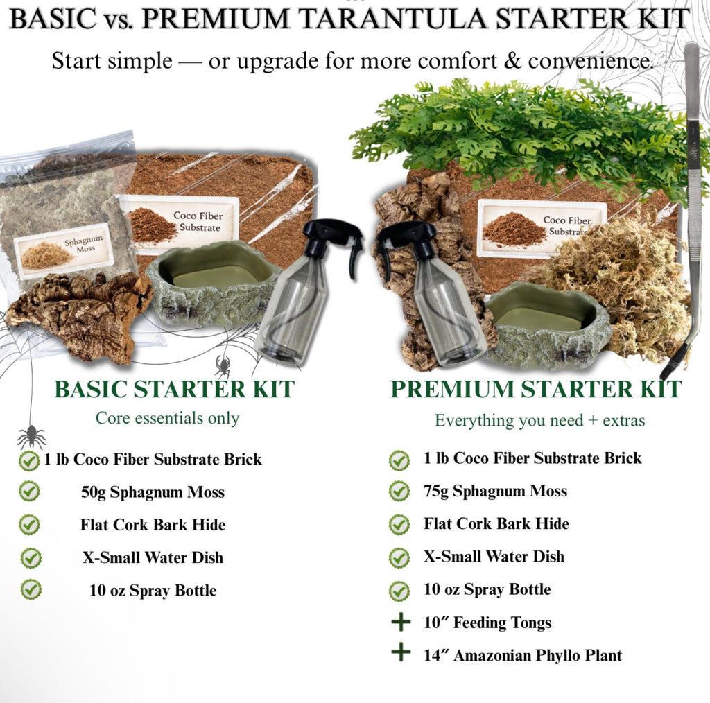 Simple Tarantula Rehousing Kit - Essential Setup